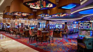 333bet16